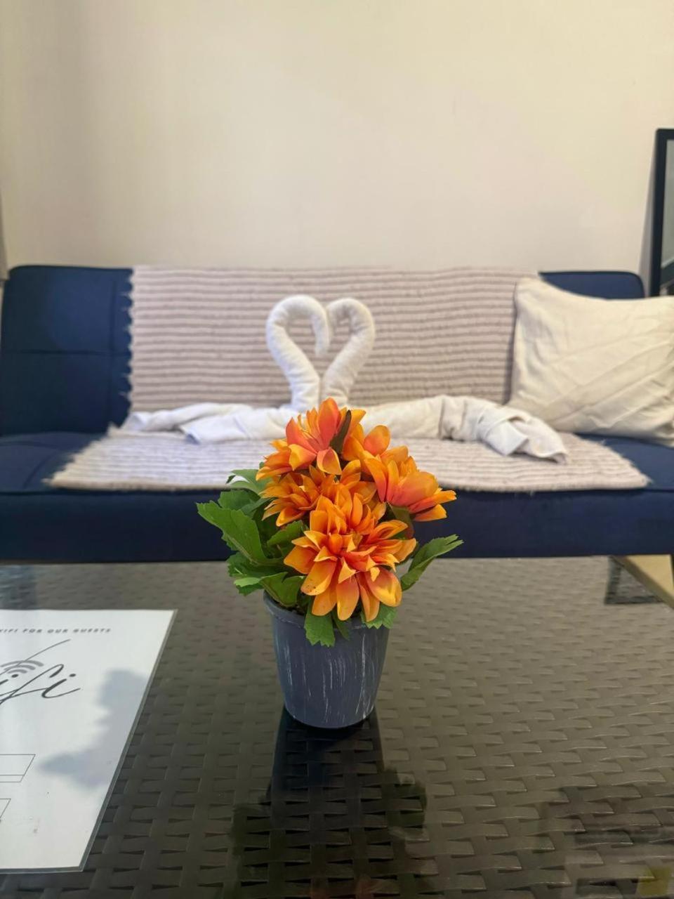 Apartment Deer House Cabuya *